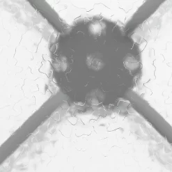 Flash Furniture Bellamy 31.5'' Silver Round Tempered Glass Metal Table -Outdoor Comfort Deals Store GUEST 45a56a61 46eb 4fa9 944f 9119d1d5c650